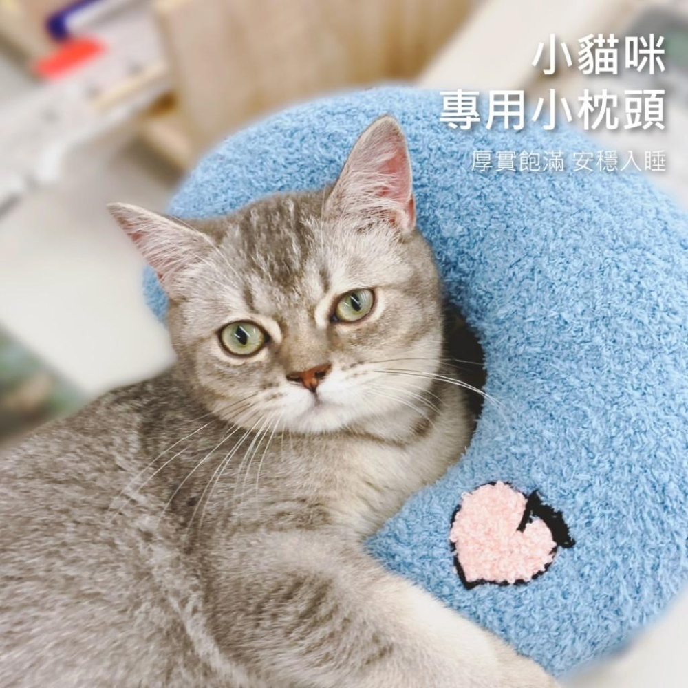毛寵星人【有喵病 台灣現貨】 貓咪毛絨抱枕 貓抱枕 毛絨抱枕 貓咪玩具-細節圖3