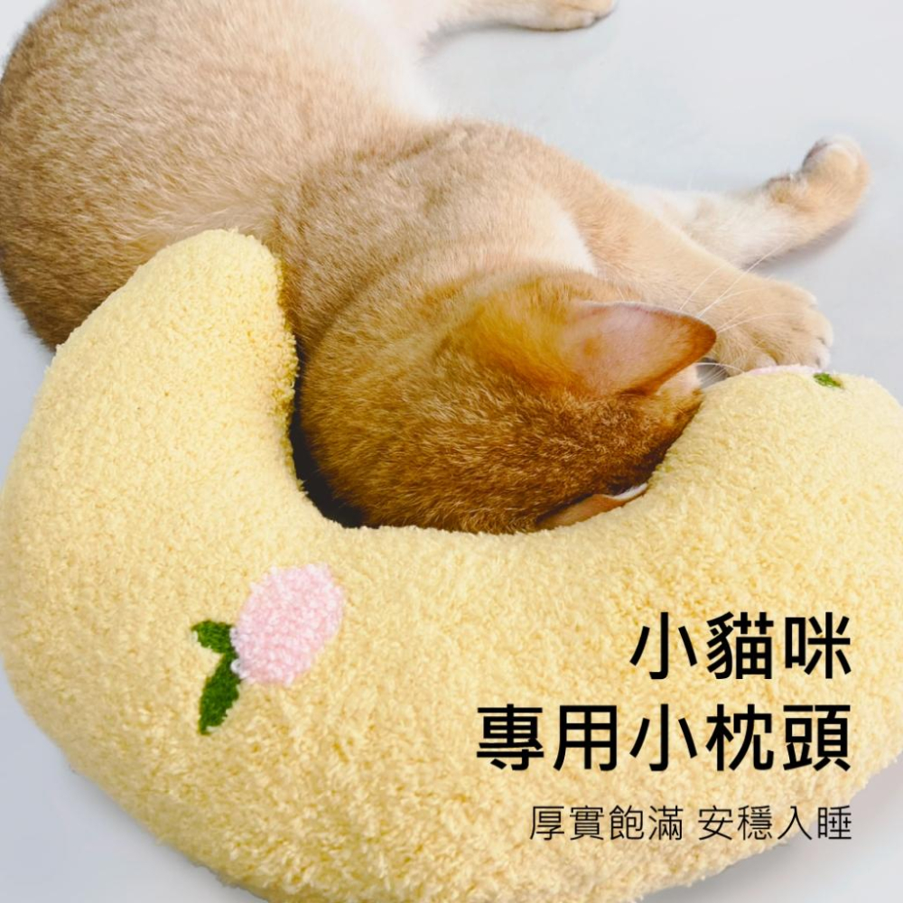 毛寵星人【有喵病 台灣現貨】 貓咪毛絨抱枕 貓抱枕 毛絨抱枕 貓咪玩具-細節圖5