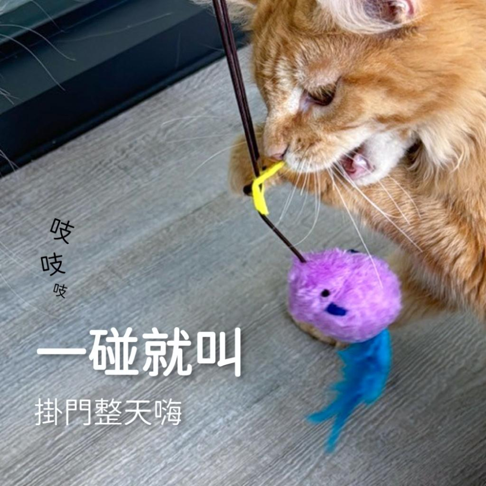 台灣現貨毛寵星人 有喵病 懸掛式發聲老鼠 逗貓老鼠 懸掛式 逗貓玩具 解悶自嗨仿聲叫叫鼠-細節圖7