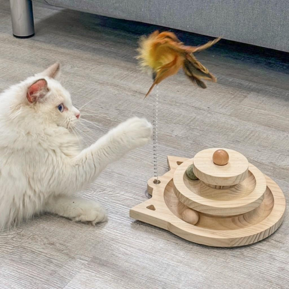 毛寵星人【有喵病 台灣現貨】實木逗貓轉盤 貓抓柱 劍麻球 貓玩具-細節圖7