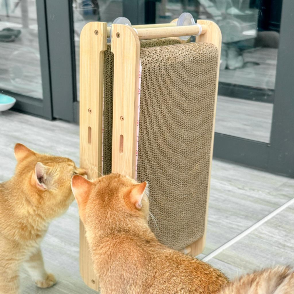 毛寵星人【有喵病 台灣現貨】實木立式吸盤貓抓板 貓抓板替換芯 貓磨爪 貓抓板 貓玩具-細節圖4