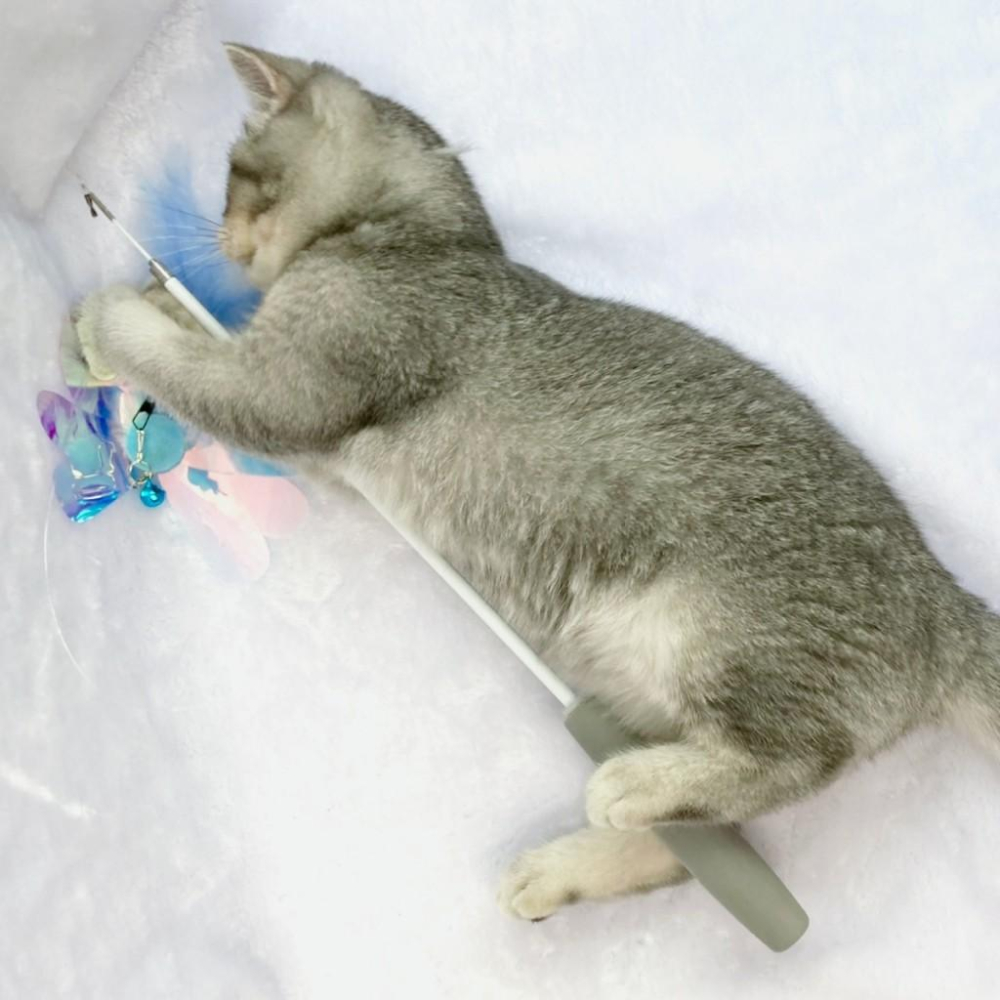 【大尾巴】台灣現貨 有喵病 DIY伸縮逗貓棒替換頭 逗貓棒 玩具 貓 寵物-細節圖8