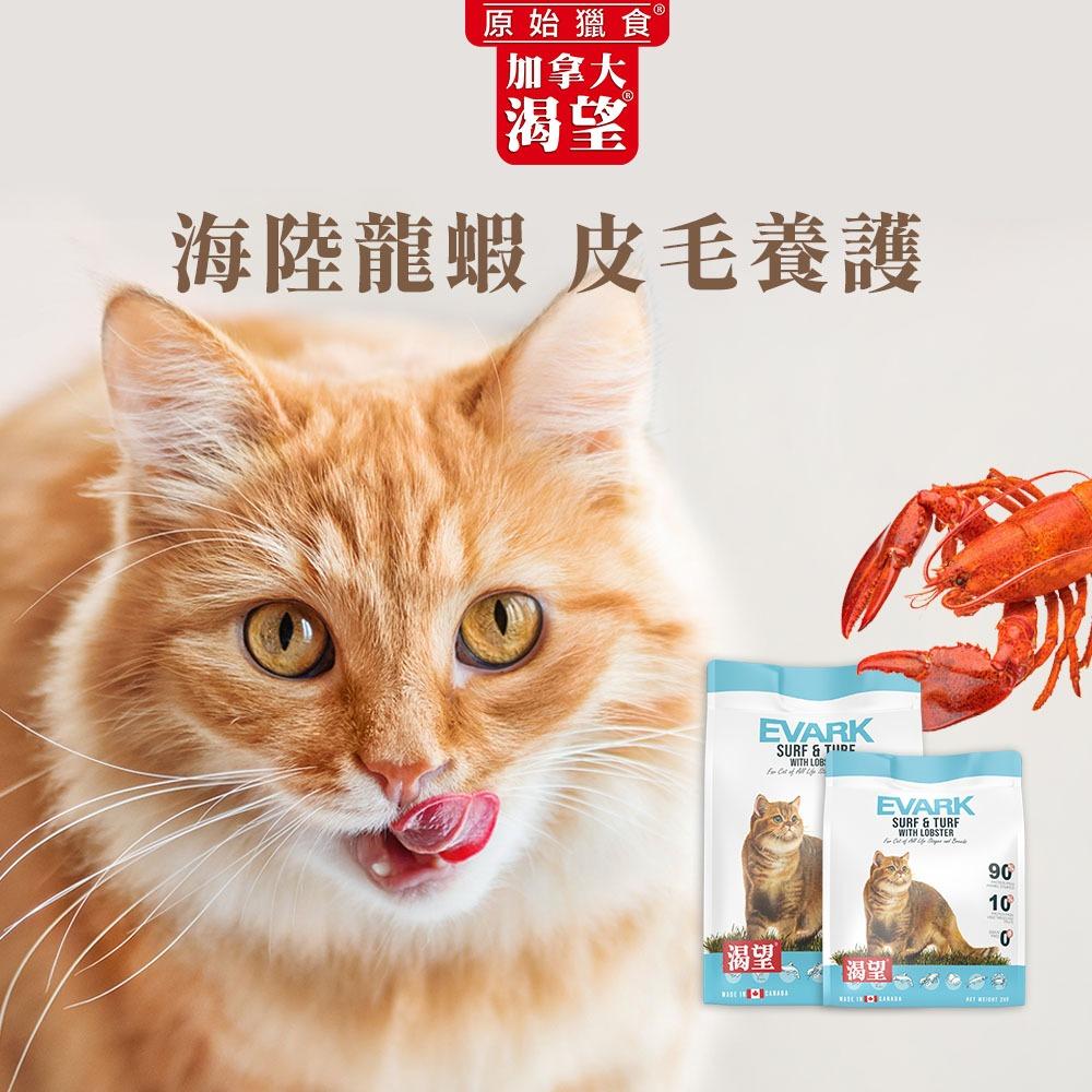 【大尾巴】渴望 無穀貓糧 貓飼料 無穀貓糧 貓糧 貓乾糧 大包裝【5.4kg】-細節圖9