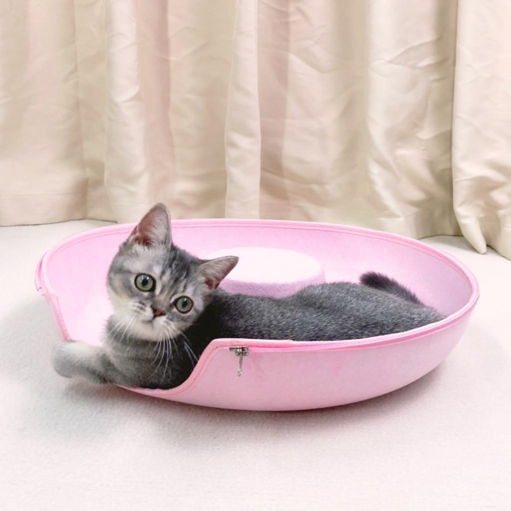 【大尾巴】台灣現貨有喵病 甜甜圈貓隧道 貓咪窩 寵物玩具毛氈貓窩 四季通用 貓玩具-細節圖5