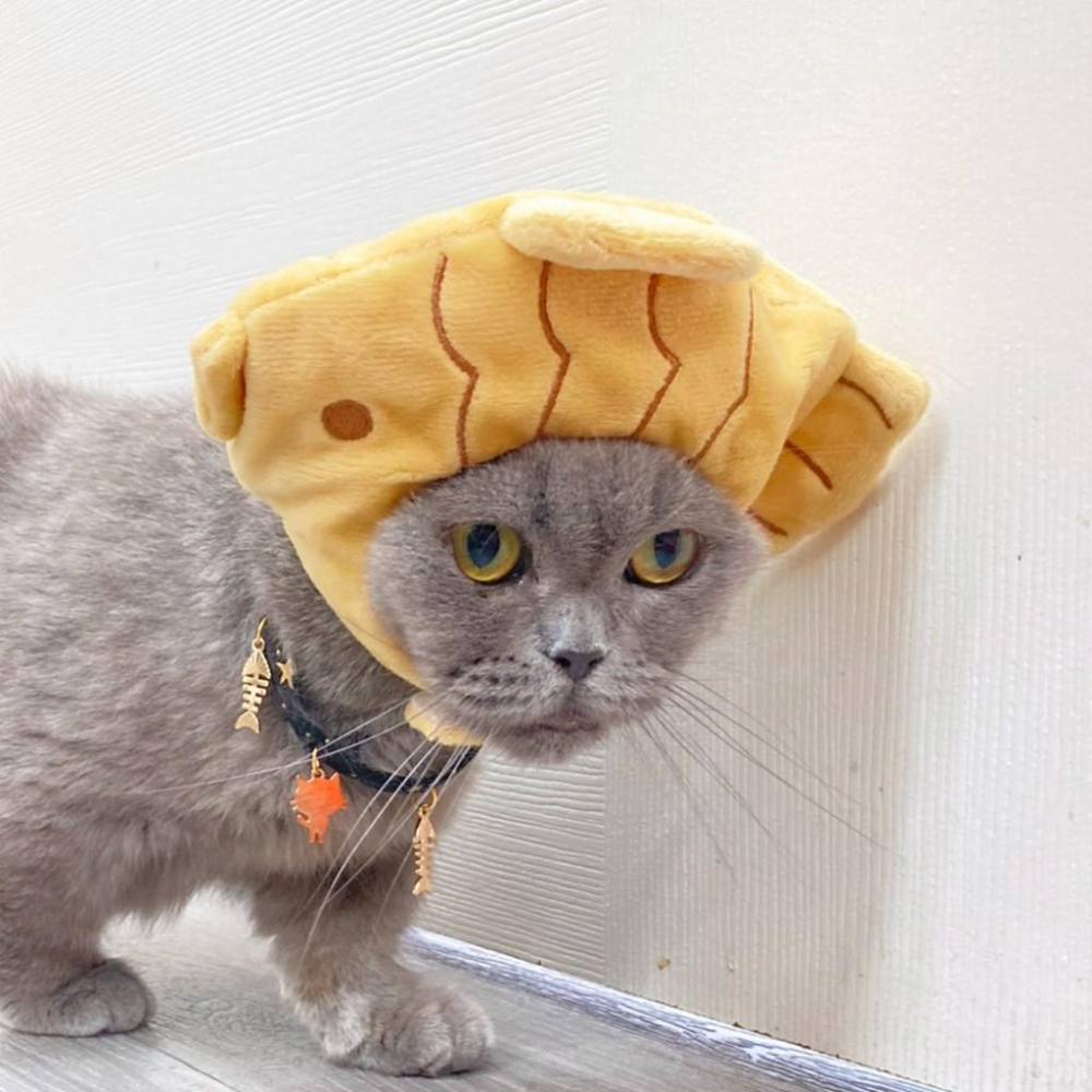 【大尾巴】有喵病 台灣現貨 搞怪貓咪編織頭套 自嗨頭套 貓咪自嗨 寵物搞怪 自嗨俏皮頭套-細節圖6