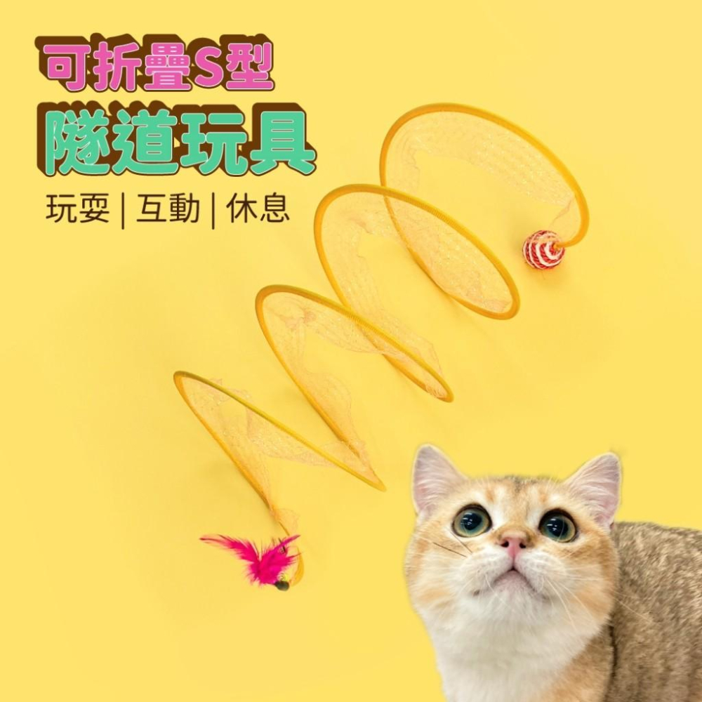 【大尾巴】有喵病 台灣現貨 可折疊 S型隧道玩具 貓玩具 逗貓玩具 貓咪自嗨 仿真老鼠 貓咪玩具 寵物玩具-細節圖3