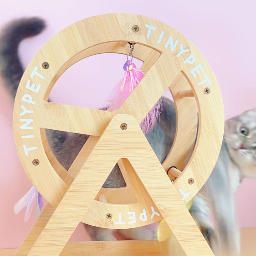 【大尾巴】有喵病 台灣現貨 喵來運轉逗貓摩天輪 逗貓棒 貓玩具 蝴蝶響紙貓咪玩具-細節圖4