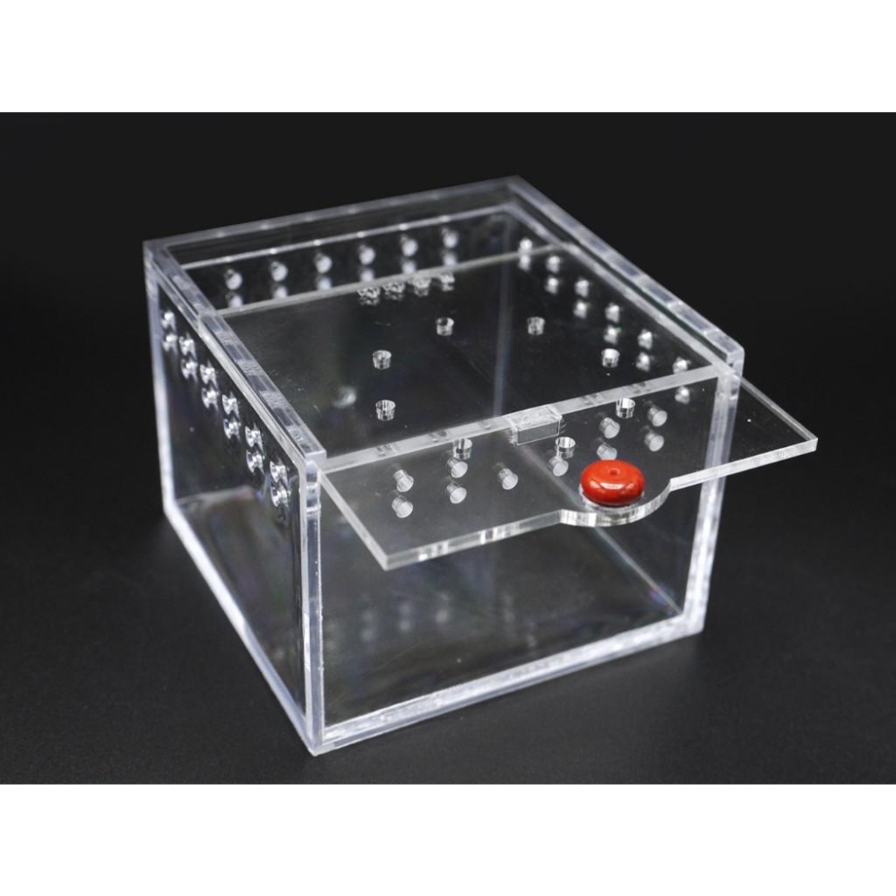 【大尾巴】寵物來了 台灣現貨 透明爬蟲飼養箱 雙開口爬蟲飼養箱 塑料 壓克力 昆蟲飼養盒-細節圖2