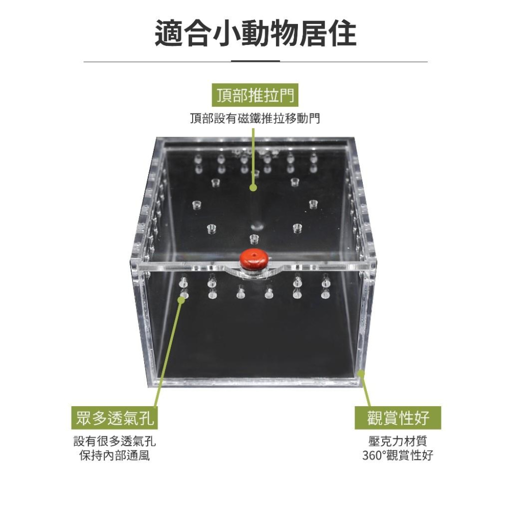 【大尾巴】寵物來了 台灣現貨 透明爬蟲飼養箱 雙開口爬蟲飼養箱 塑料 壓克力 昆蟲飼養盒-細節圖3