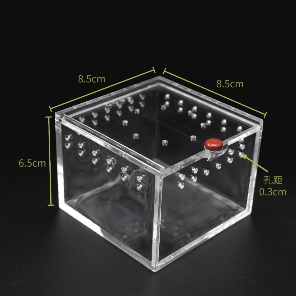 【大尾巴】寵物來了 台灣現貨 透明爬蟲飼養箱 雙開口爬蟲飼養箱 塑料 壓克力 昆蟲飼養盒-細節圖4
