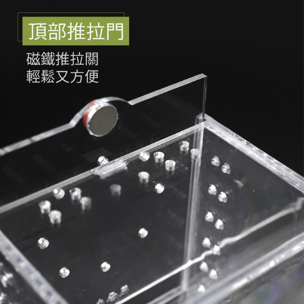 【大尾巴】寵物來了 台灣現貨 透明爬蟲飼養箱 雙開口爬蟲飼養箱 塑料 壓克力 昆蟲飼養盒-細節圖5