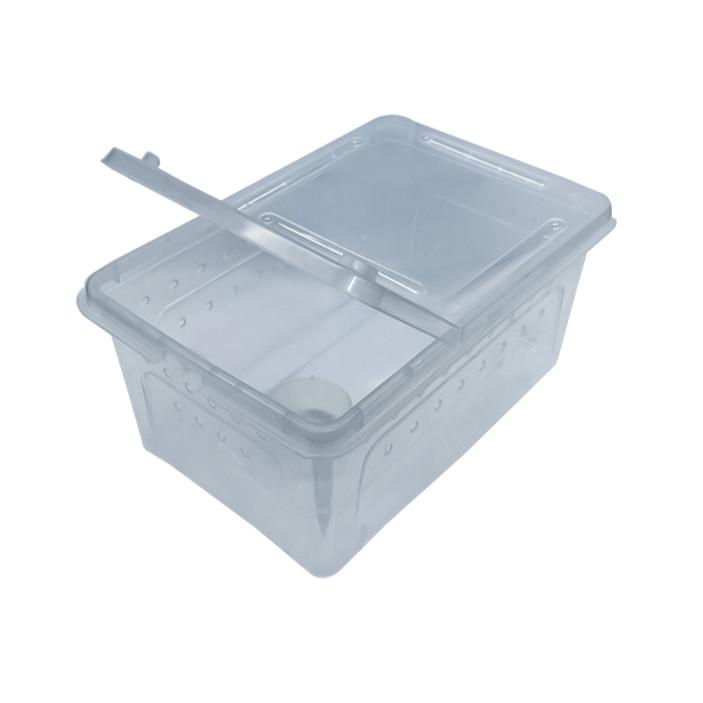 【大尾巴】寵物來了 台灣現貨 透明爬蟲飼養箱 雙開口爬蟲飼養箱 塑料 壓克力 昆蟲飼養盒-細節圖7