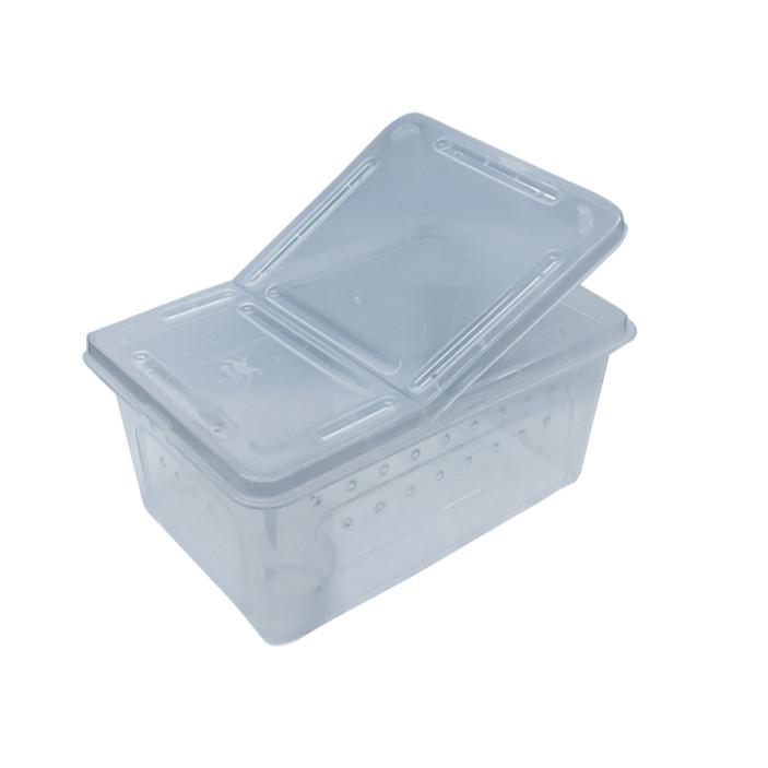 【大尾巴】寵物來了 台灣現貨 透明爬蟲飼養箱 雙開口爬蟲飼養箱 塑料 壓克力 昆蟲飼養盒-細節圖8