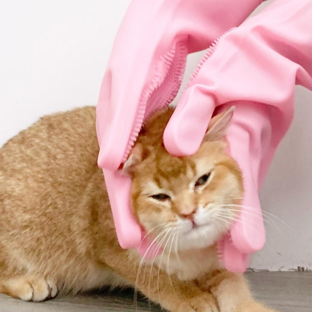 【大尾巴】寵物來了 台灣現貨 洗澡按摩梳 寵物梳 洗頭梳子 頭皮按摩器 洗頭按摩刷 按摩刷 搓澡手套-細節圖2