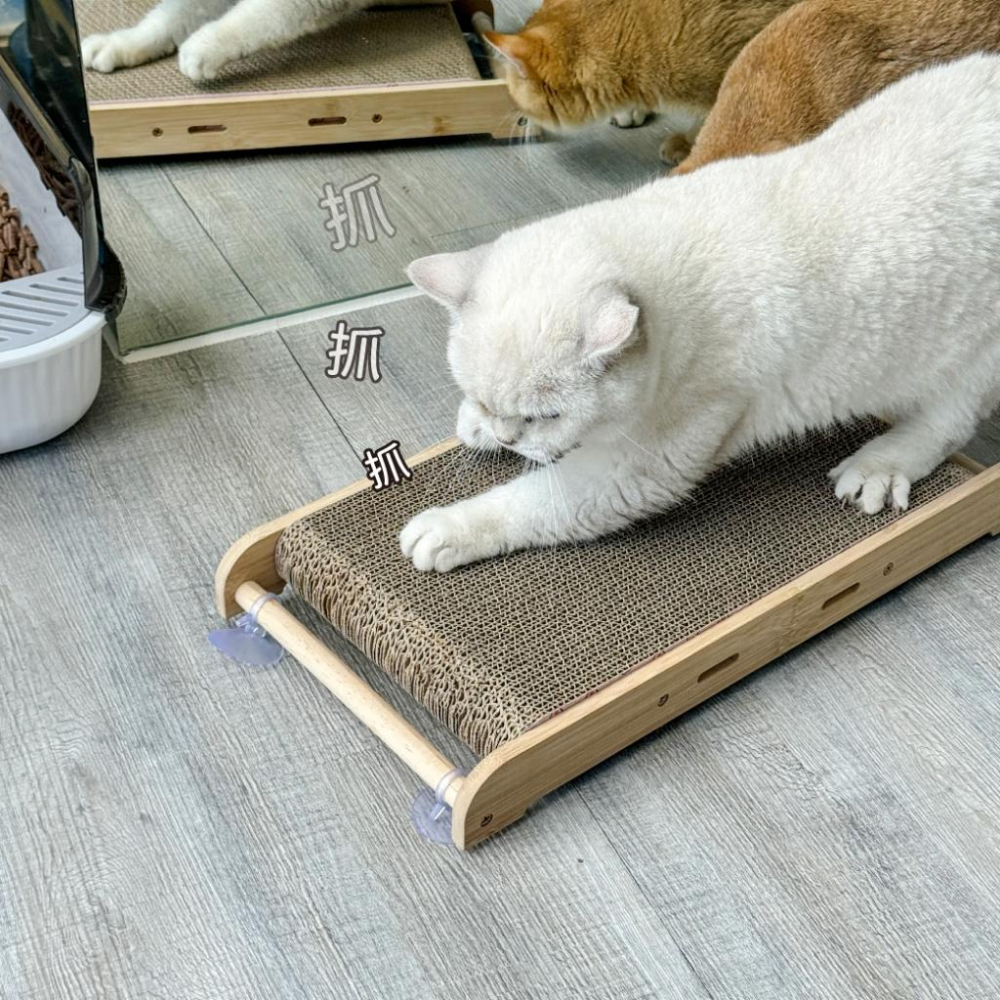 【大尾巴】台灣現貨 有喵病 實木立式吸盤貓抓板 貓抓板替換芯 貓磨爪 貓抓板 貓玩具-細節圖6