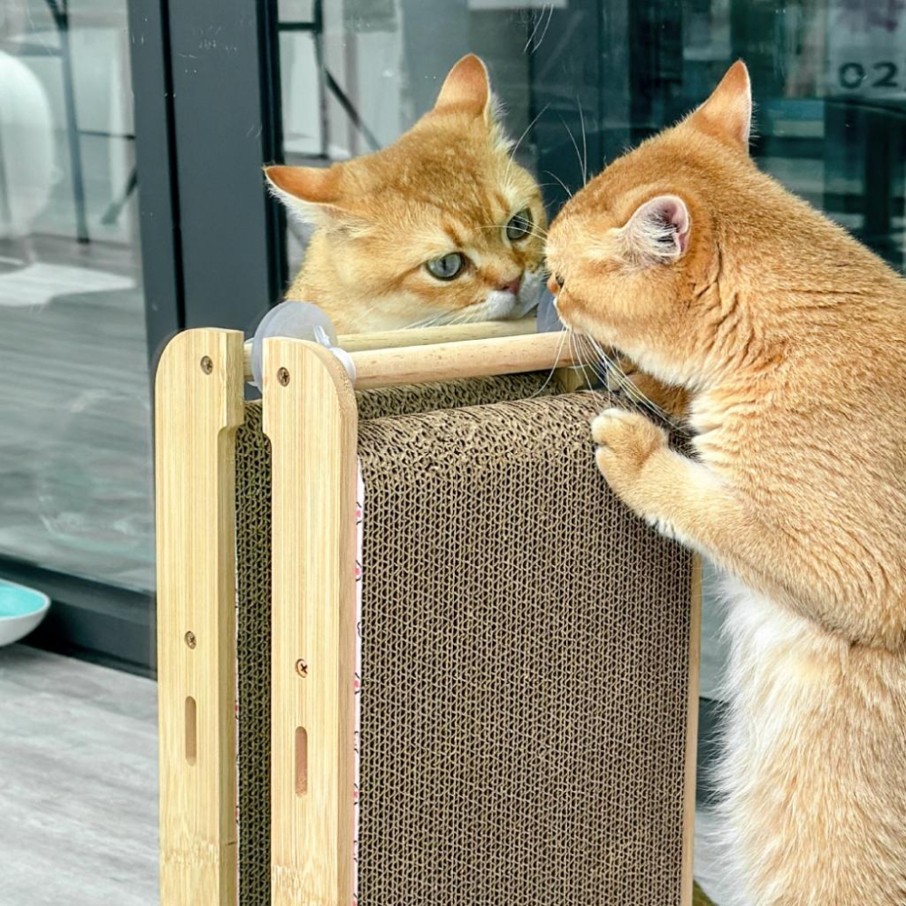 【大尾巴】台灣現貨 有喵病 實木立式吸盤貓抓板 貓抓板替換芯 貓磨爪 貓抓板 貓玩具-細節圖8