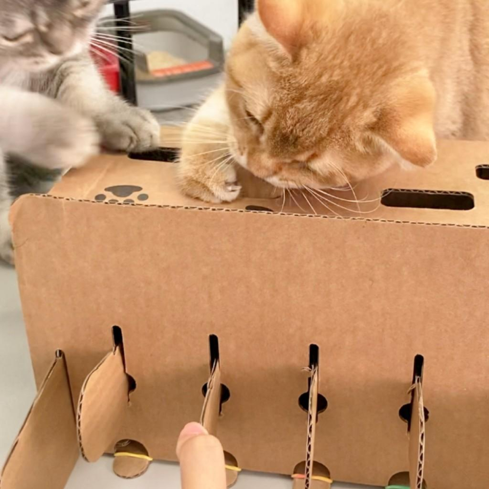 【大尾巴】有喵病 台灣現貨 貓抓板 貓紙盒 貓咪打地鼠紙盒玩具 貓抓窩 紙抓板 瓦楞抓板 貓抓板 貓窩-細節圖6