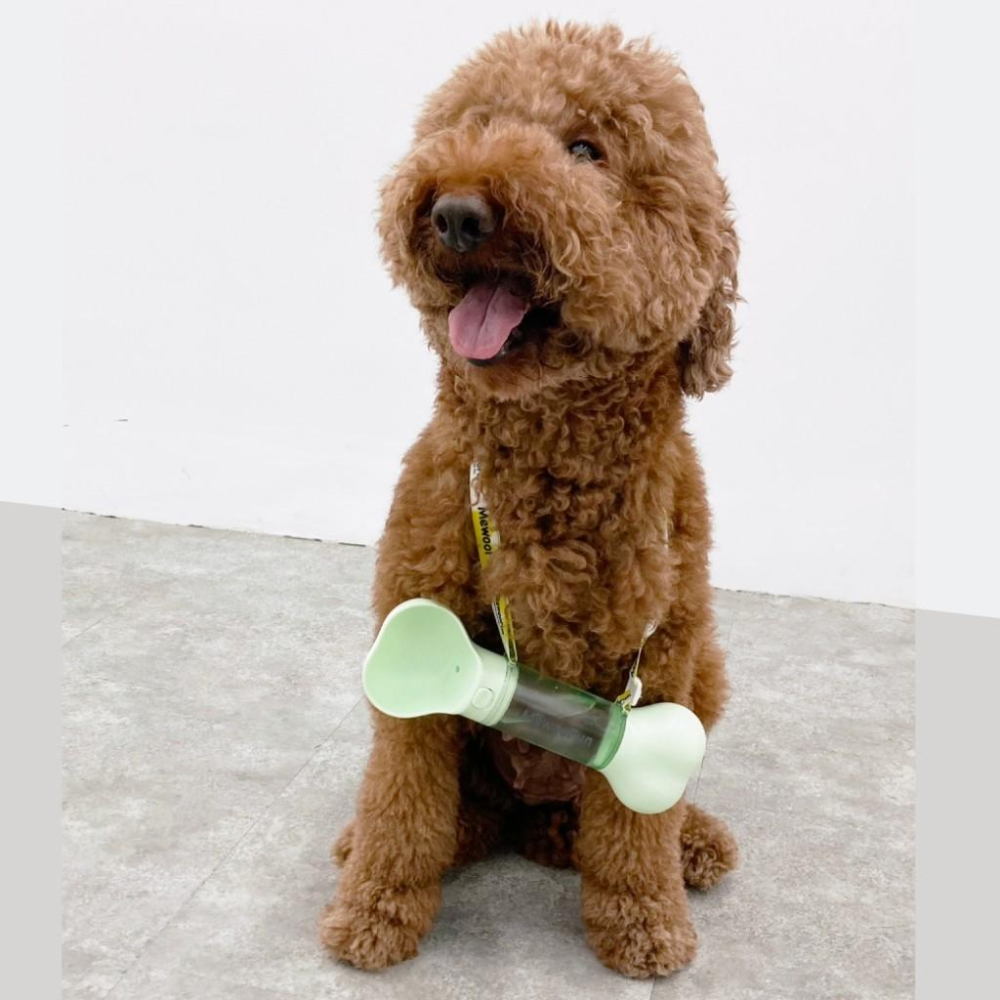 寵物來了 台灣現貨 狗骨頭外出杯 外出飲水杯 二合一外出飲水杯 狗狗撿便袋-細節圖4
