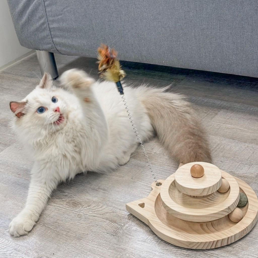 有喵病 台灣現貨 實木逗貓轉盤 貓抓柱 劍麻球 貓玩具 羽毛逗貓 貓轉盤 劍麻貓抓柱-細節圖7