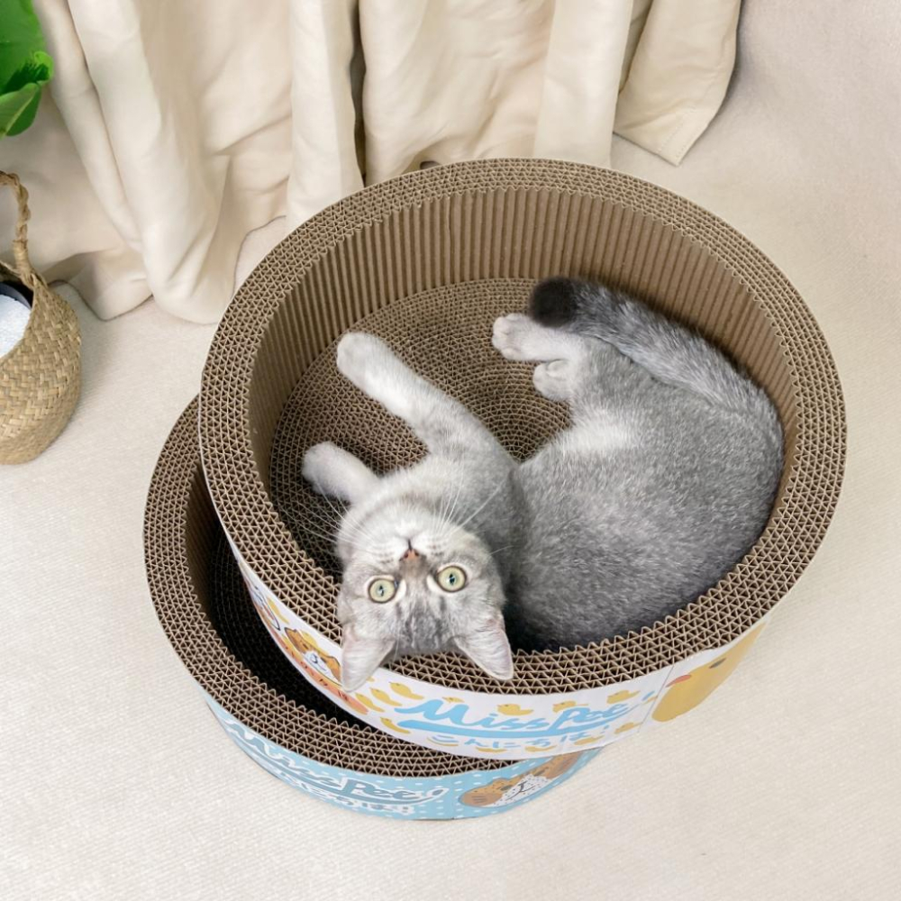 🍭有才寵物商店🔥台灣現貨西瓜劍麻盆 仿藤四季貓窩 瓦楞貓抓窩 可替換貓抓碗 牛油果劍麻貓抓碗 貓窩-細節圖5