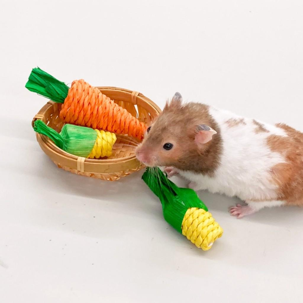 寵物來了 台灣現貨 小寵草繩玩具3入組 倉鼠玩具 磨牙玩具 小動物 熊鼠 紙捲-細節圖4