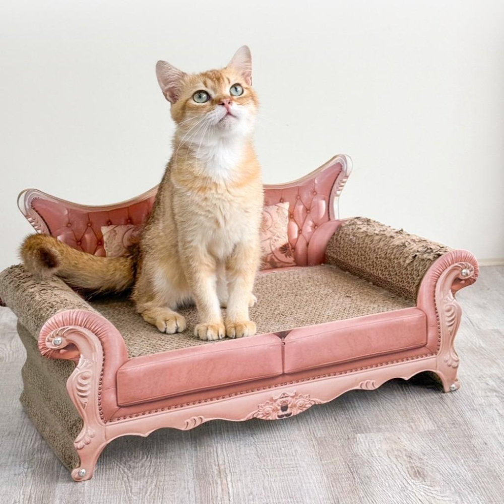 有喵病 台灣現貨 復古沙發瓦楞貓抓板 貓玩具 貓窩 貓沙發 貓咪磨爪 休息沙發 寵物窩 瓦楞抓板-細節圖4