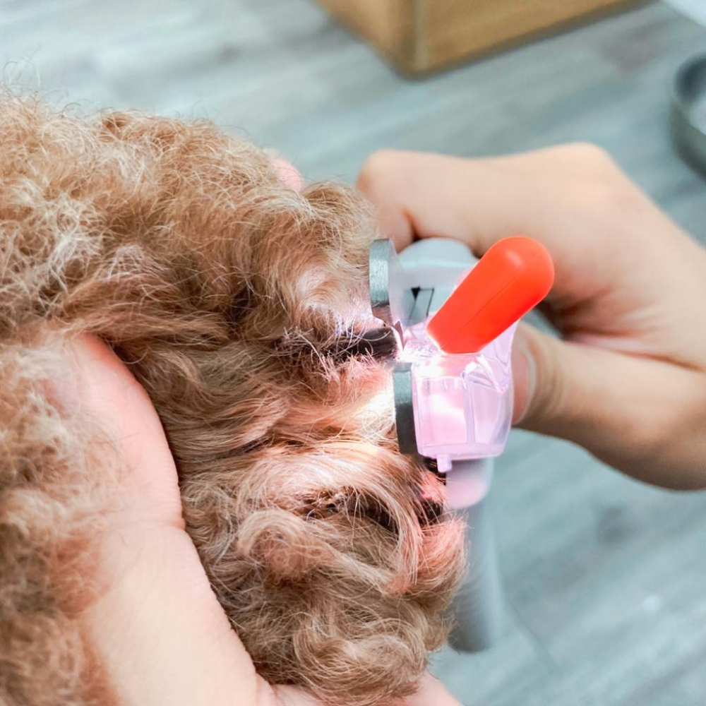 🍭有才寵物商店 🔥台灣現貨 寵物來了 LED發光指甲剪 簡約皮紋LED指甲剪 寵物指甲剪 指甲剪-細節圖6