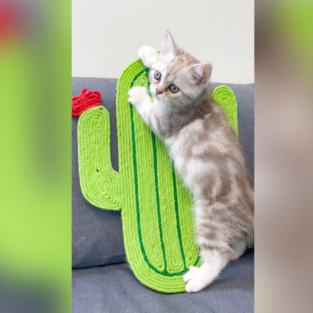 有喵病 台灣現貨 劍麻貓抓墊 貓抓板 劍麻 磨爪 貓抓墊 仙人掌 小魚造型-細節圖4