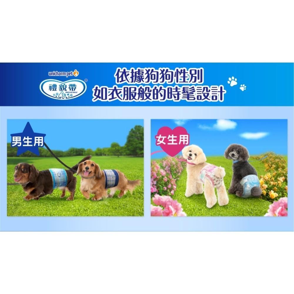 【Unicharm 嬌聯 禮貌帶】女用/男用 消臭大師 尿布 生理帶-細節圖5