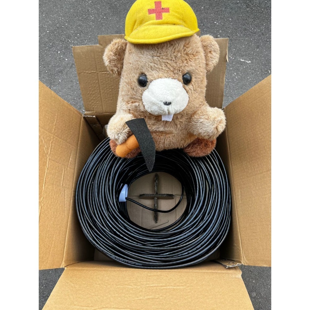 Cat6 305M 箱 305米 卷 網路線 8芯 適 交換器 IP 攝影機 水晶頭 非 cat5e 控制線 絞線傳輸器-細節圖4