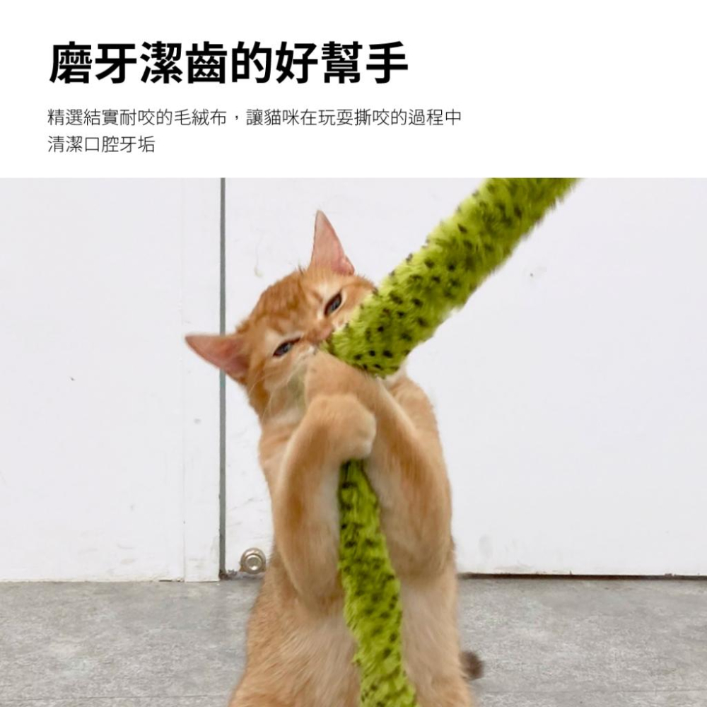 台灣現貨驕傲貓狗 有喵病 逗貓棒 較長型 需宅配 趣味超長 森林蛇超長-細節圖6