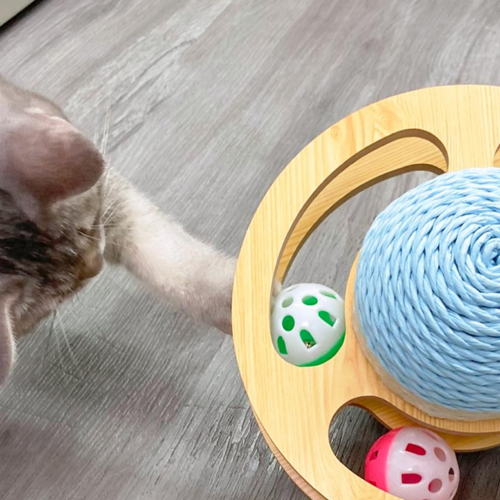 台灣現貨驕傲貓狗 有喵病 小行星劍麻軌道玩具 劍麻球 貓玩具 魔爪玩具 鈴鐺球 逗貓-細節圖4