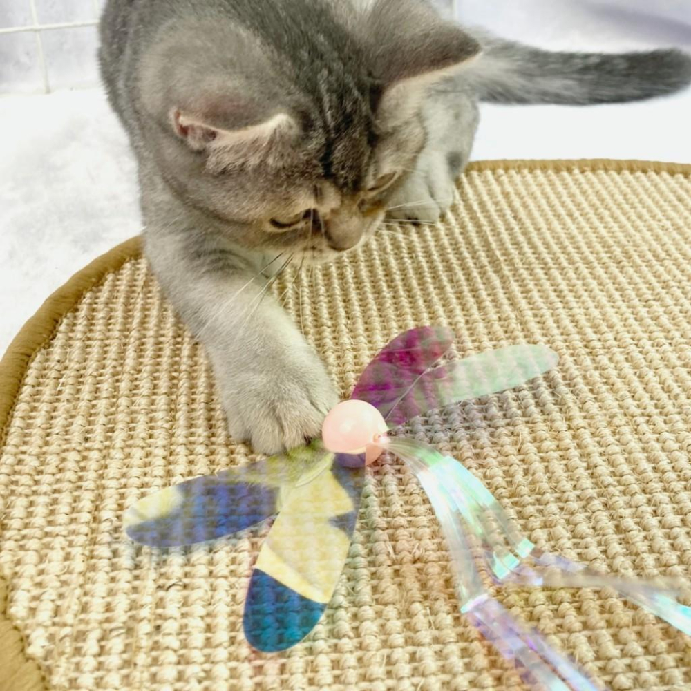 台灣現貨驕傲貓狗 有喵病 DIY伸縮逗貓棒替換頭 逗貓棒 玩具 貓 寵物-細節圖7