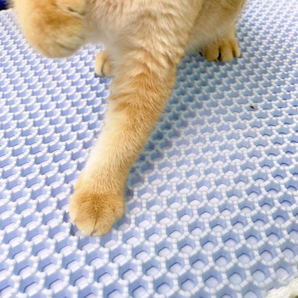 台灣現貨 驕傲貓狗 有喵病 防外濺雙層落砂墊 60CM 雙層貓砂墊 落砂踏板 動物造型-細節圖2