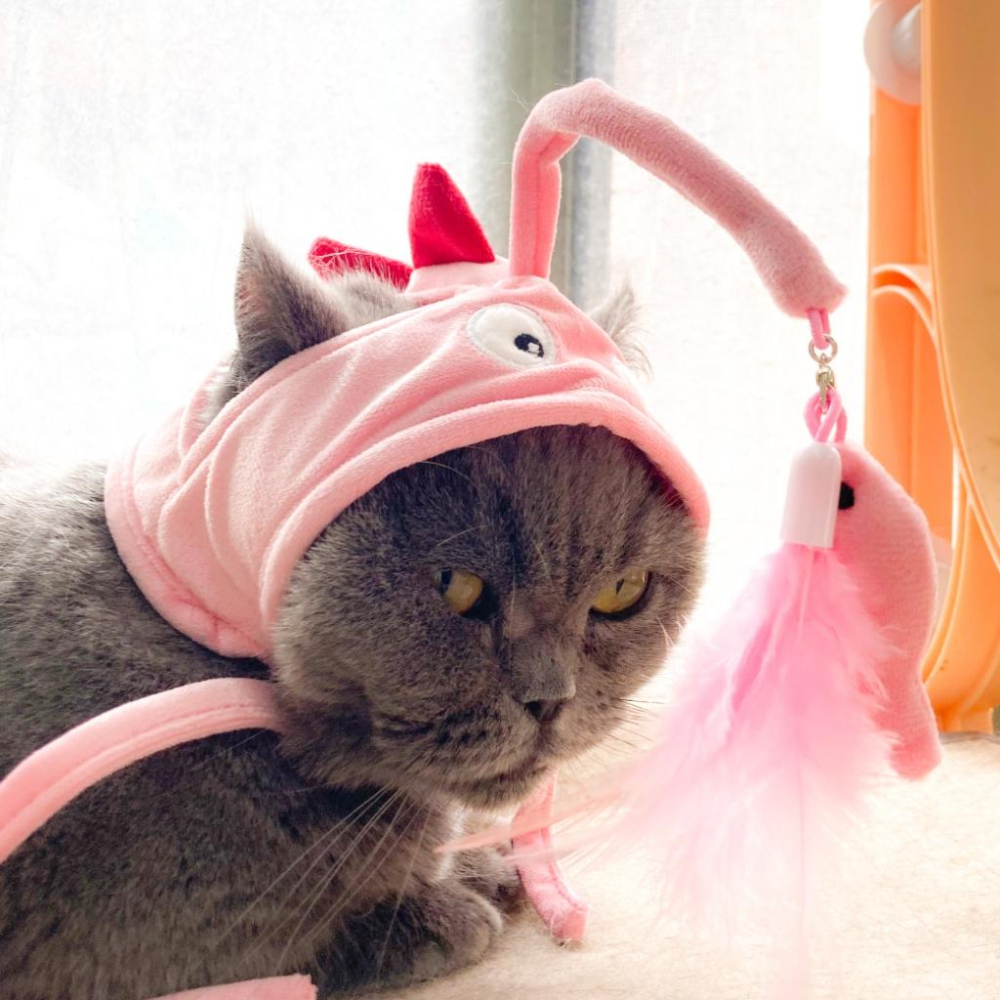 台灣現貨 驕傲貓狗 有喵病 自嗨俏皮頭套 搞怪可愛寵物帽子 寵物頭套 寵物變裝 寵物頭飾-細節圖6