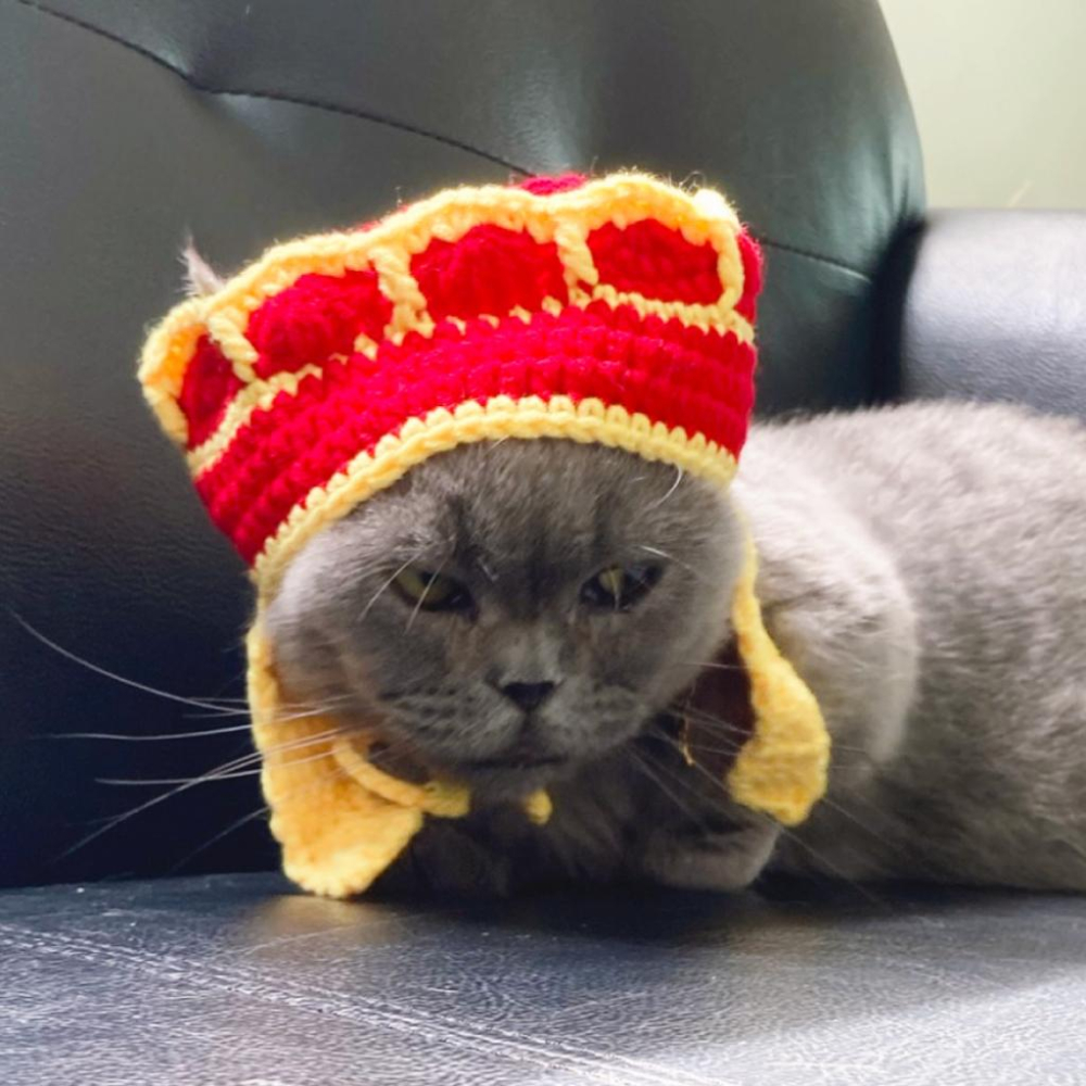 台灣現貨 驕傲貓狗 有喵病 自嗨俏皮頭套 搞怪可愛寵物帽子 寵物頭套 寵物變裝 寵物頭飾-細節圖7