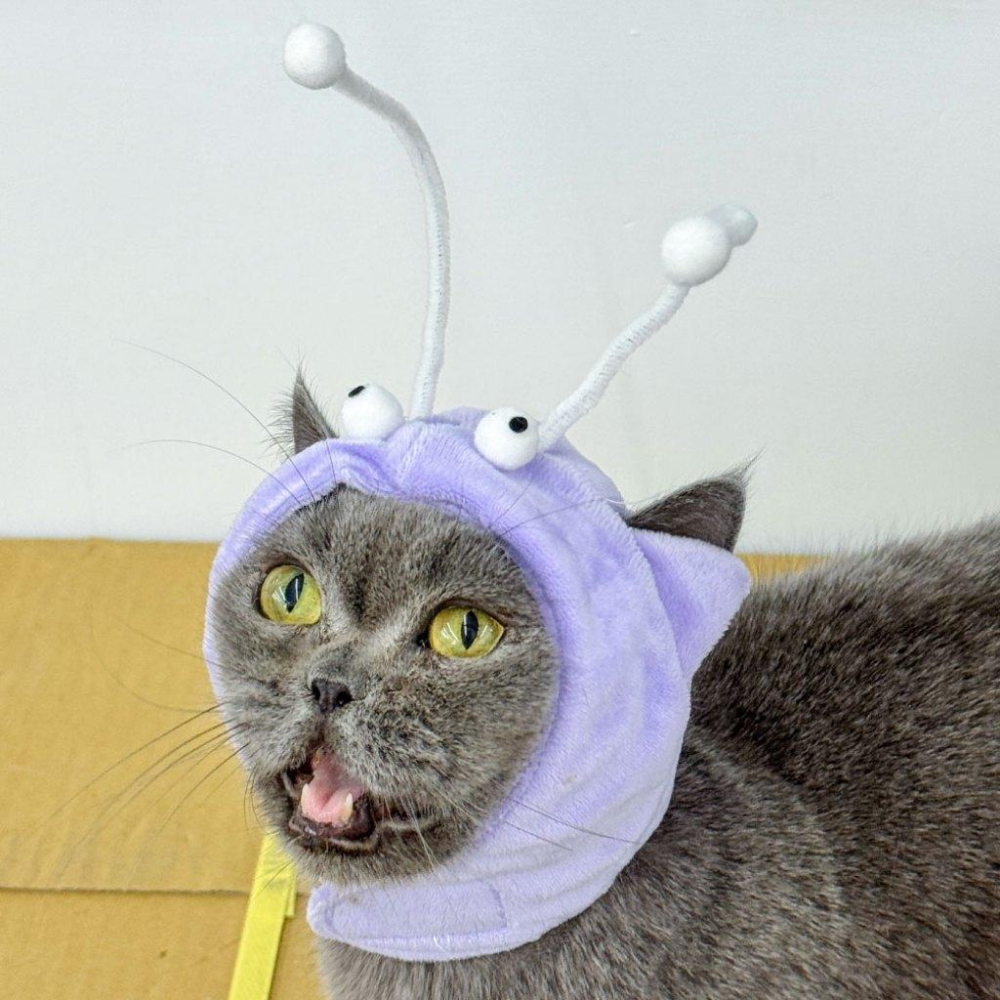 台灣現貨 驕傲貓狗 有喵病 自嗨俏皮頭套 搞怪可愛寵物帽子 寵物頭套 寵物變裝 寵物頭飾-細節圖9