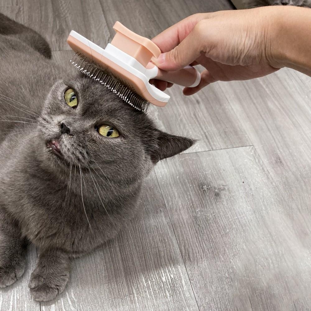 台灣現貨✅貓狗好時光 粉彩自動去毛梳 寵物美容梳 寵物美容 寵物去毛梳 寵物針梳 梳貓毛-細節圖5