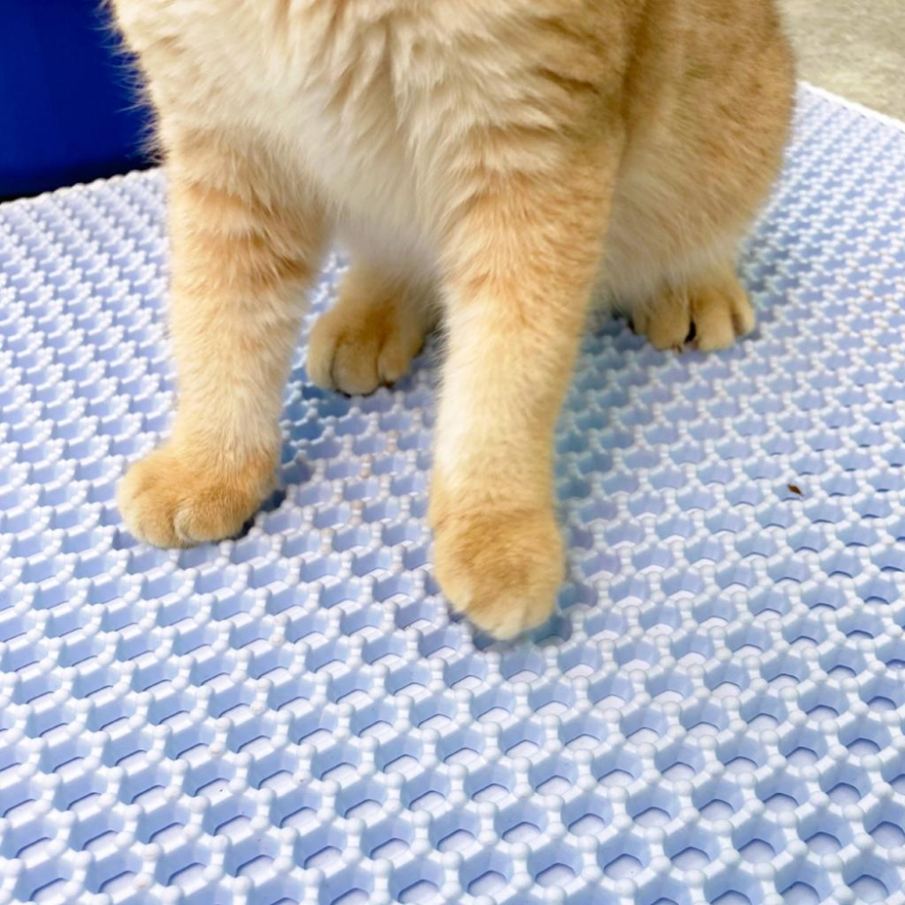 台灣現貨✅貓狗好時光有喵病 防外濺雙層落砂墊 60CM 雙層貓砂墊 落砂踏板 動物造型-細節圖2