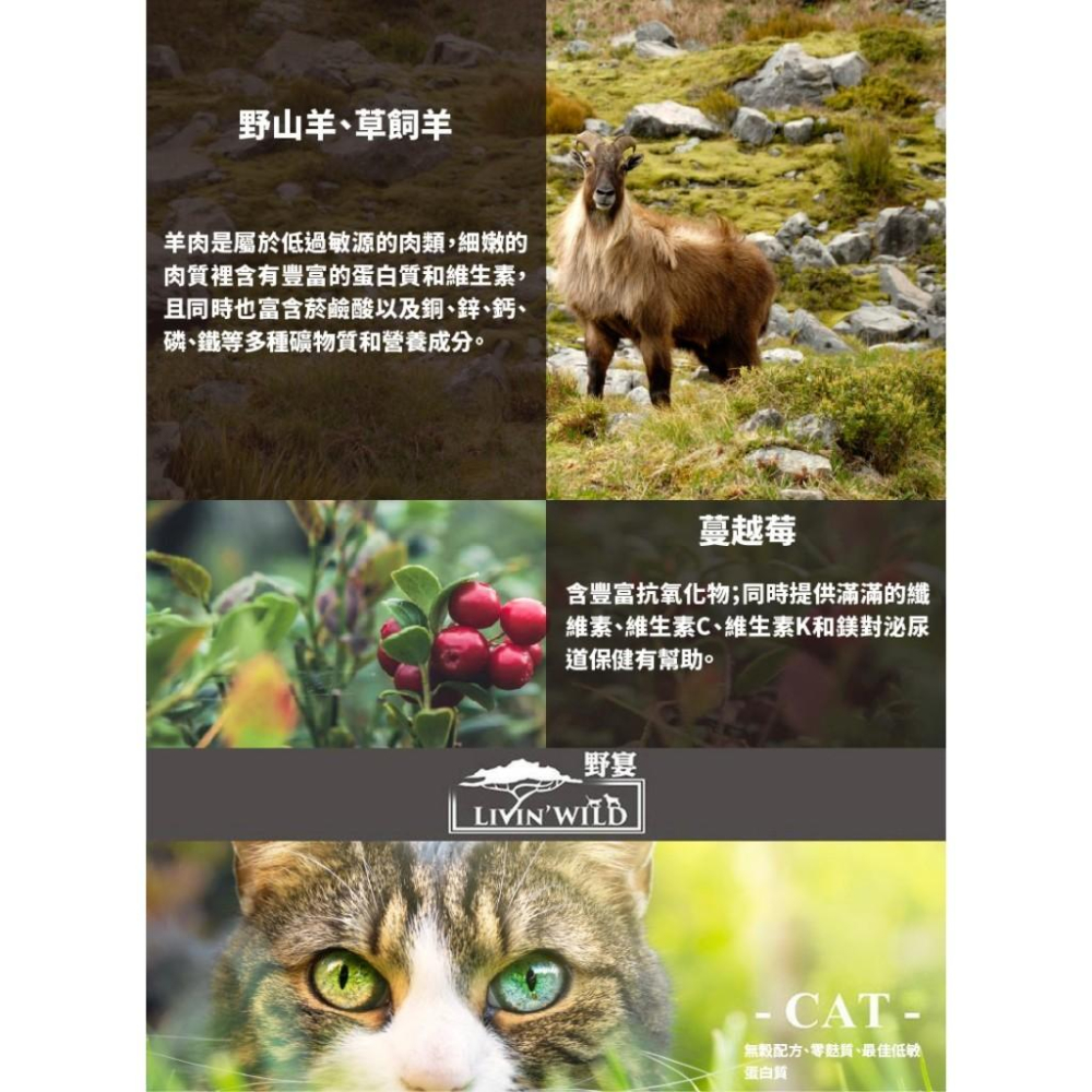 ✅貓狗好時光【Livin＇ Wild 野宴 貓飼料】紐西蘭 草飼無穀 全齡貓 貓飼料 貓乾糧【15lb】大包-細節圖5