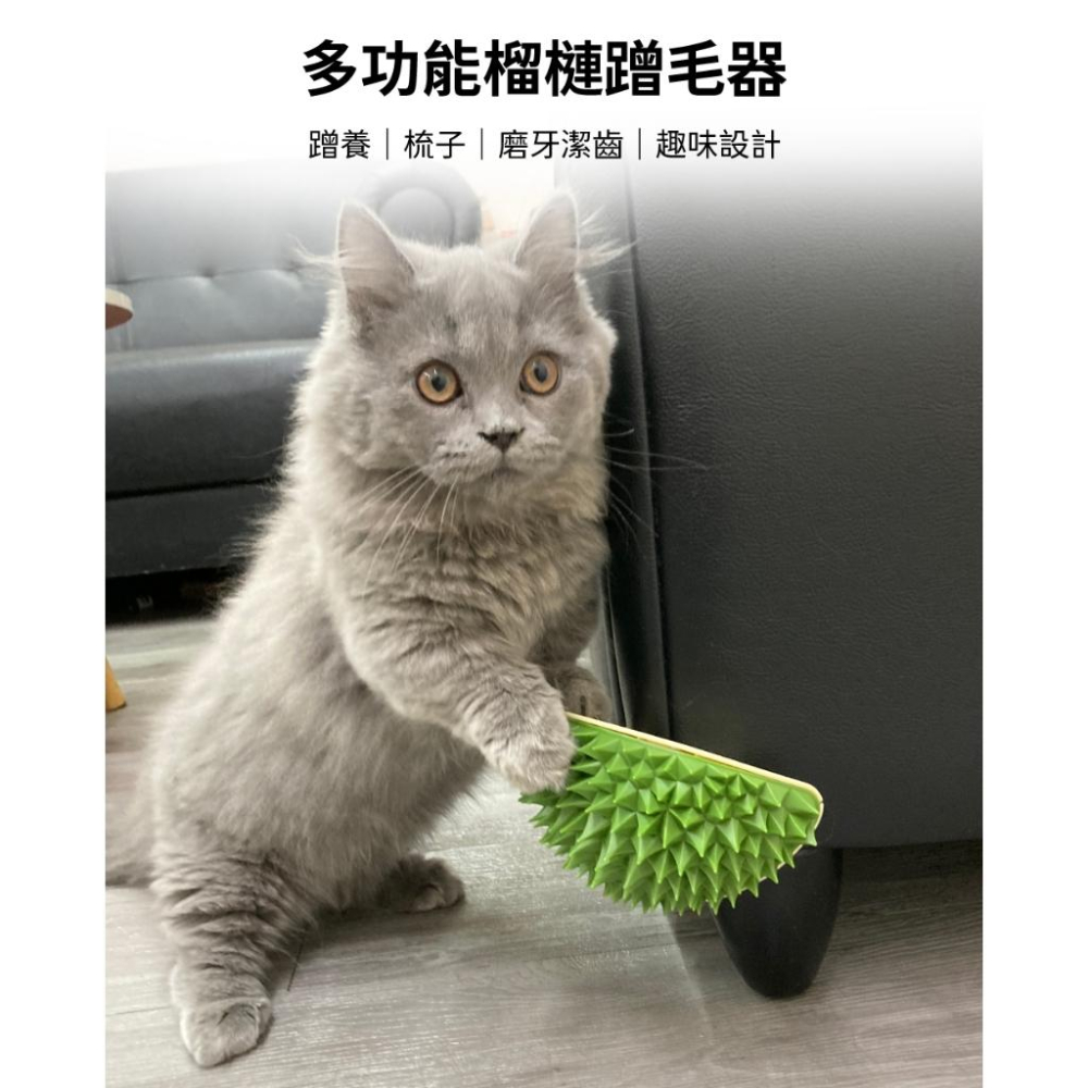 台灣現貨✅貓狗好時光 有喵病 多功能榴槤蹭毛器 貓玩具 貓咪舔毛 梳毛器 寵物梳毛 貓薄荷-細節圖3
