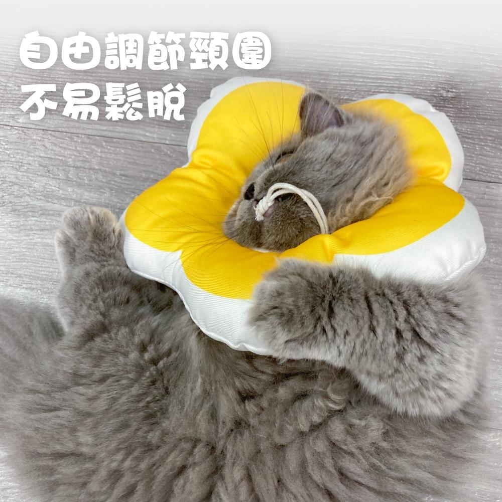 台灣現貨✅貓狗好時光 造型頭套 寵物頭套 EVA防舔咬 趣味 毛絨可調節 花朵 伊莉莎白-細節圖7