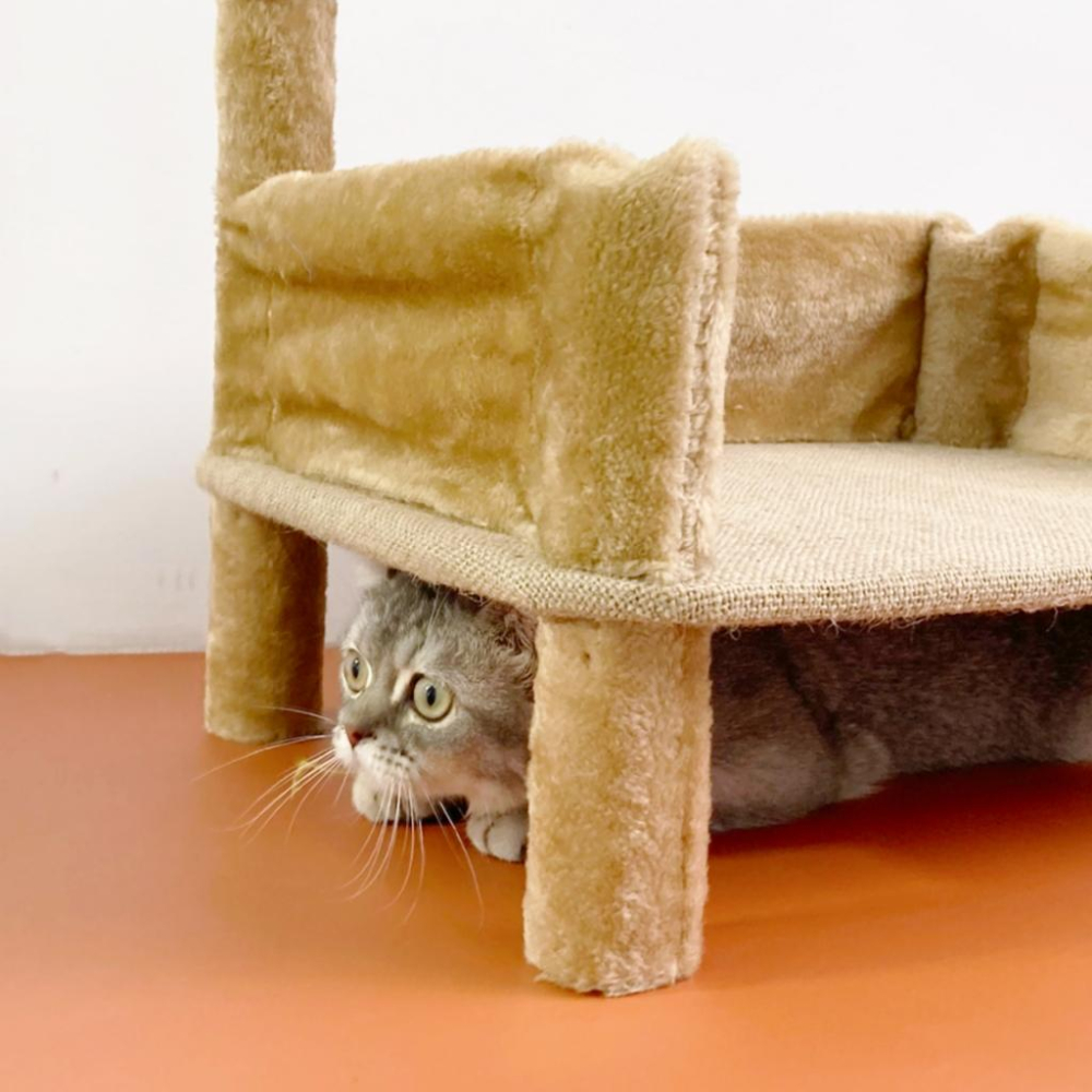 台灣現貨✅貓狗好時光 有喵病 多功能貓抓床 貓抓屋 貓床 貓窩 貓睡墊 貓抓床 寵物窩 寵物用品-細節圖4