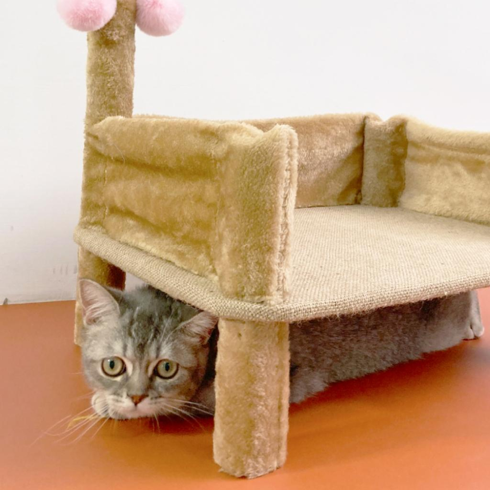 台灣現貨✅貓狗好時光 有喵病 多功能貓抓床 貓抓屋 貓床 貓窩 貓睡墊 貓抓床 寵物窩 寵物用品-細節圖7