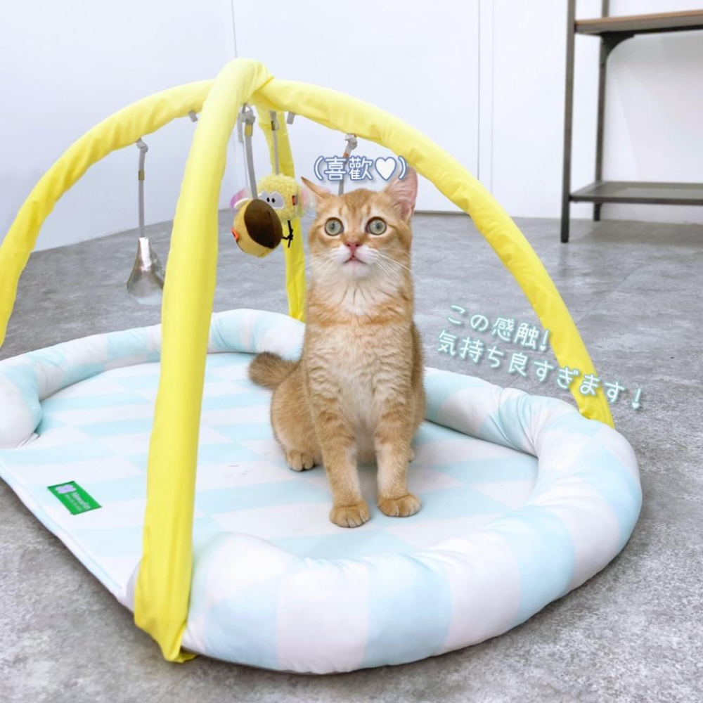 台灣現貨✅貓狗好時光有喵病 清涼自嗨墊 夏季 涼蓆 寵物 貓咪 逗貓 貓睡墊 貓窩 玩具睡墊 寵物床-細節圖2