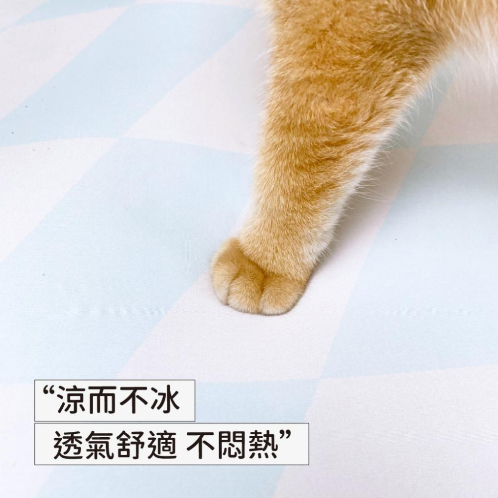 台灣現貨✅貓狗好時光有喵病 清涼自嗨墊 夏季 涼蓆 寵物 貓咪 逗貓 貓睡墊 貓窩 玩具睡墊 寵物床-細節圖4