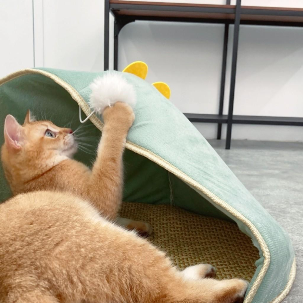 台灣現貨✅貓狗好時光 半封閉清涼藤席貓窩 兔子恐龍 夏季 涼墊 寵物-細節圖3