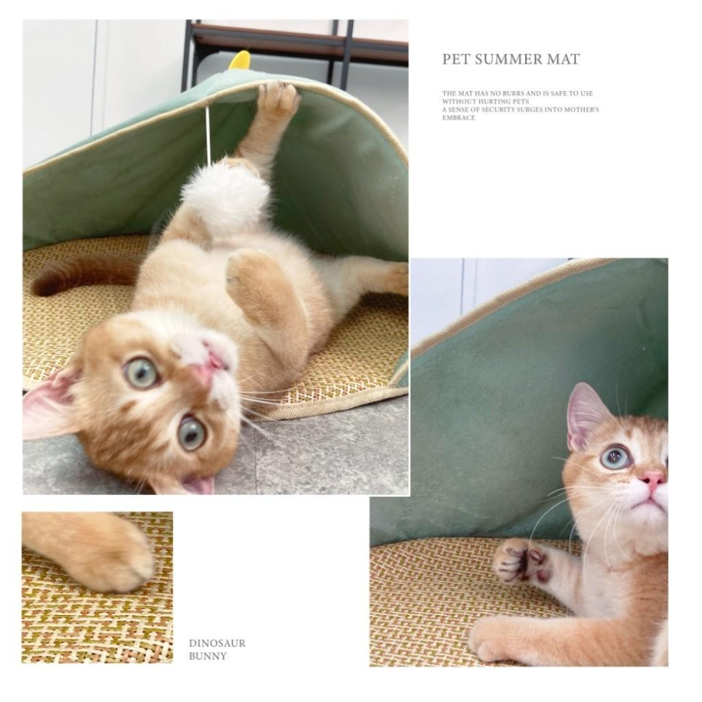 台灣現貨✅貓狗好時光 半封閉清涼藤席貓窩 兔子恐龍 夏季 涼墊 寵物-細節圖4