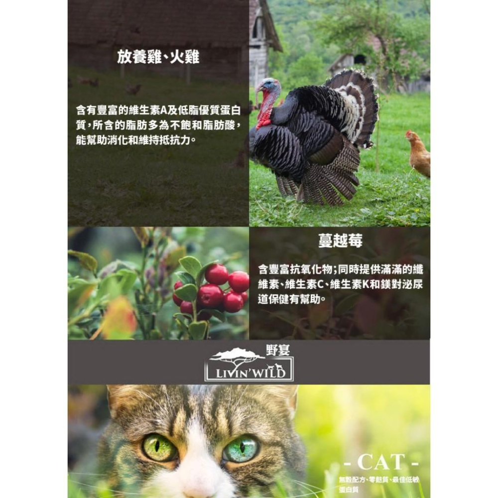 ✅貓狗好時光【Livin＇ Wild 野宴 貓飼料】紐西蘭 草飼無穀 全齡貓 貓飼料 貓乾糧【4lb】小包-細節圖3