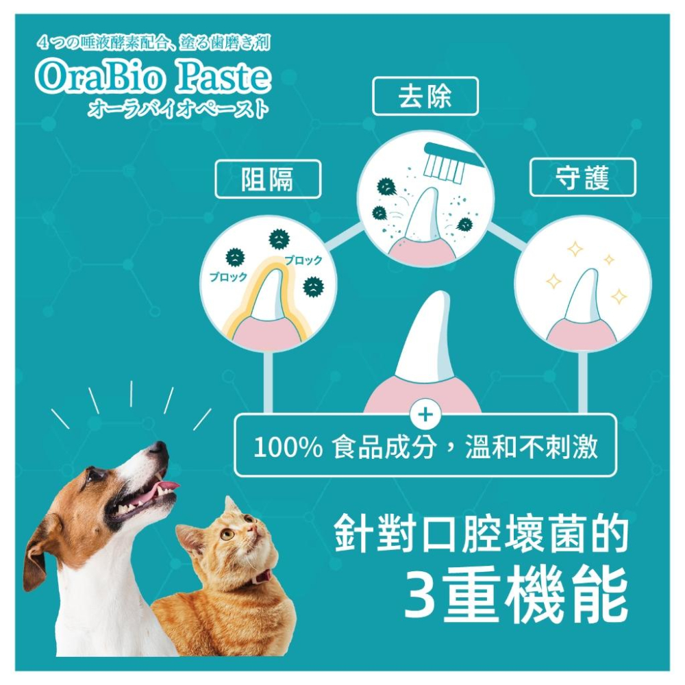 ✅貓狗好時光【日本牙倍淨 RepairAn】 犬貓潔牙凝膠組 結石消除鉗 潔牙細粉 潔牙噴霧 牙膏 牙刷-細節圖7